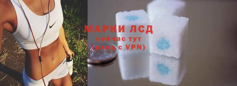 Лсд 25 экстази ecstasy  Богородск 